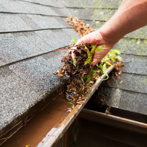 Gutter Cleaning